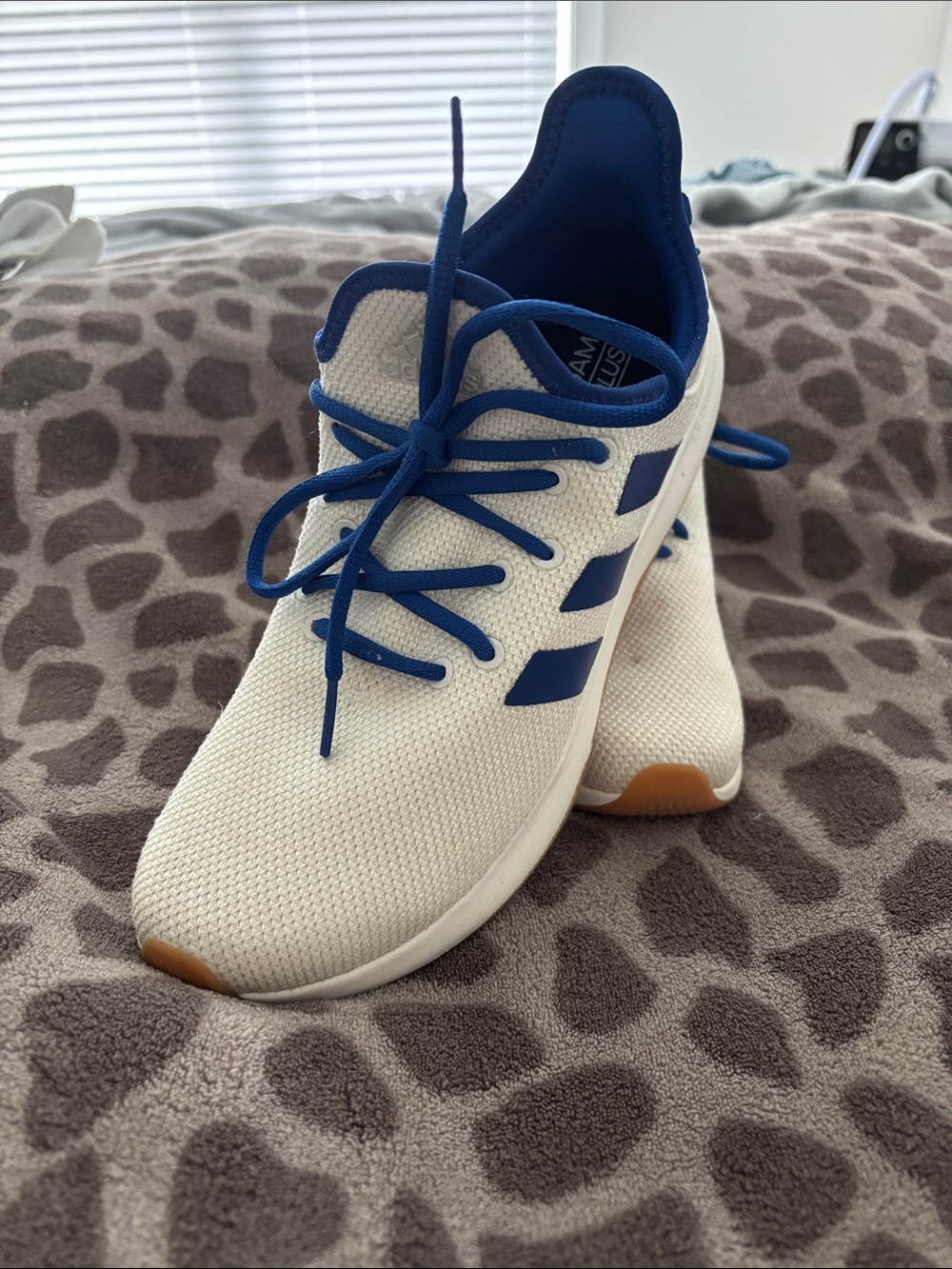 adidas White Knit Sneakers with Blue Trim